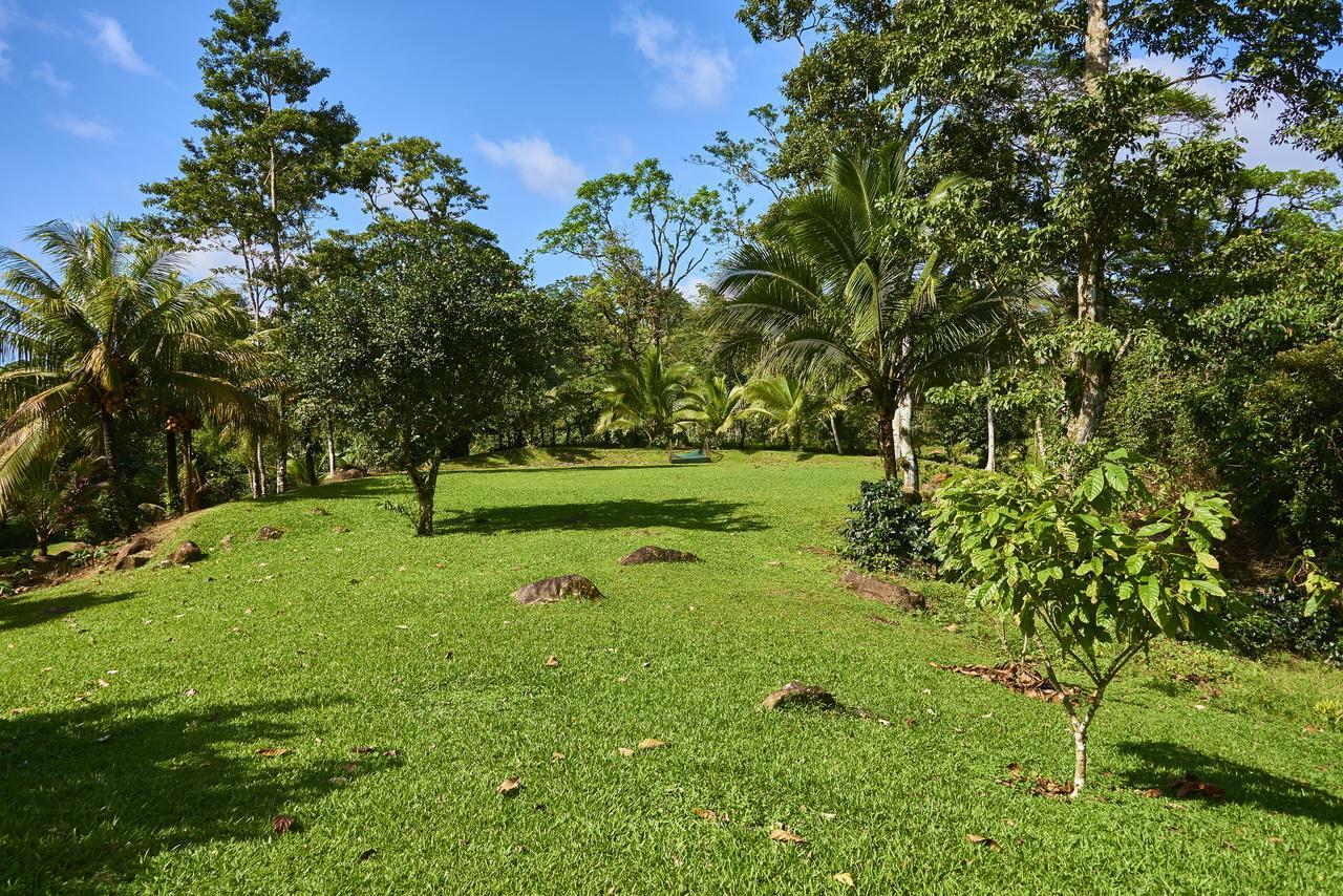 فندق بيجاغوافي  Finca Experimental Cata Chocolate المظهر الخارجي الصورة