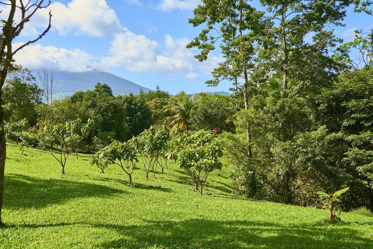 فندق بيجاغوافي  Finca Experimental Cata Chocolate المظهر الخارجي الصورة